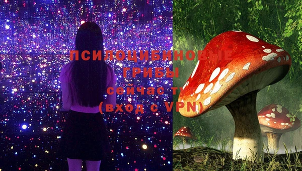 крисы Дмитровск